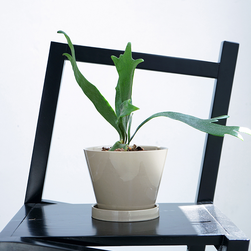 外贸陶瓷花盆复古蝴蝶兰专用兰花桌面轻奢高级感绿色盆栽套盆20CM,淘宝优惠券,粉丝福利购,淘宝优惠卷