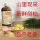 Yukang Hair Miao Ginger Grass ແທ້ຂອງແທ້ຢາຈີນບໍລິສຸດຂອງຜົມ Liquid ສໍາລັບ dandruff, ຕ້ານອາການຄັນ, ຕ້ານການລາກນ້ໍາ, ບໍ່ເສຍຄ່າຂວດສີດ.
