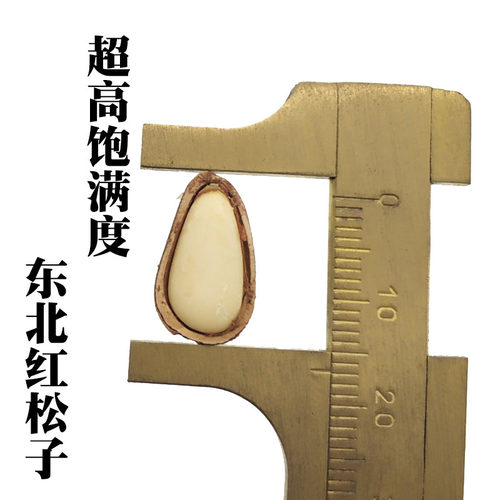 红松子新货东北特产开口松子松树屯坚果特大颗粒原味手剥人工500g-图1