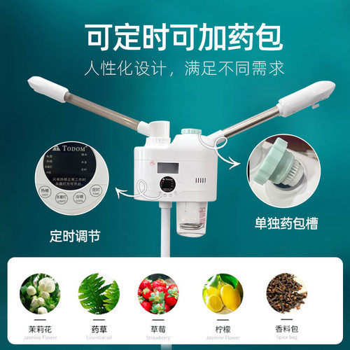 泰东冷热喷雾机美容仪补水双喷蒸脸器热喷仪美容院专用蒸汽蒸脸仪 - 图2