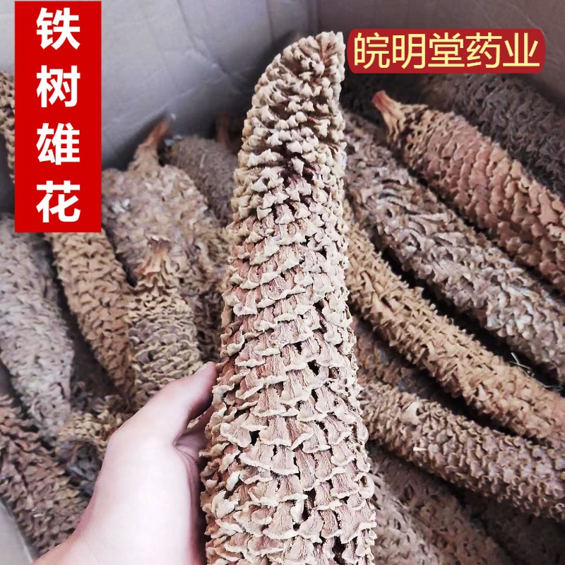 同仁堂品质铁树花中药材正品干花凤尾蕉铁树雄花另有雌花500g包邮 - 图0