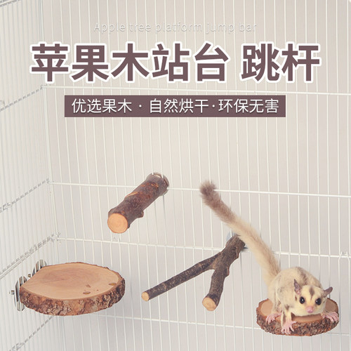 苹果木枝叉跳台树桩吊桥楼梯蜜袋鼯龙猫磨牙仓鼠玩具松鼠玩耍用品 - 图0