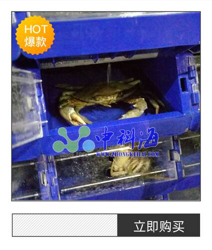 梭子蟹大闸蟹青蟹公寓水产室内立体养殖设备澳洲小龙虾养殖箱盒 - 图2