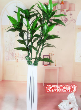 富贵竹田园乡村房间绿植装饰花