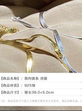 特价！外贸原单 品牌专柜货 925银饰品 OL风简约百搭时尚蛇骨项链