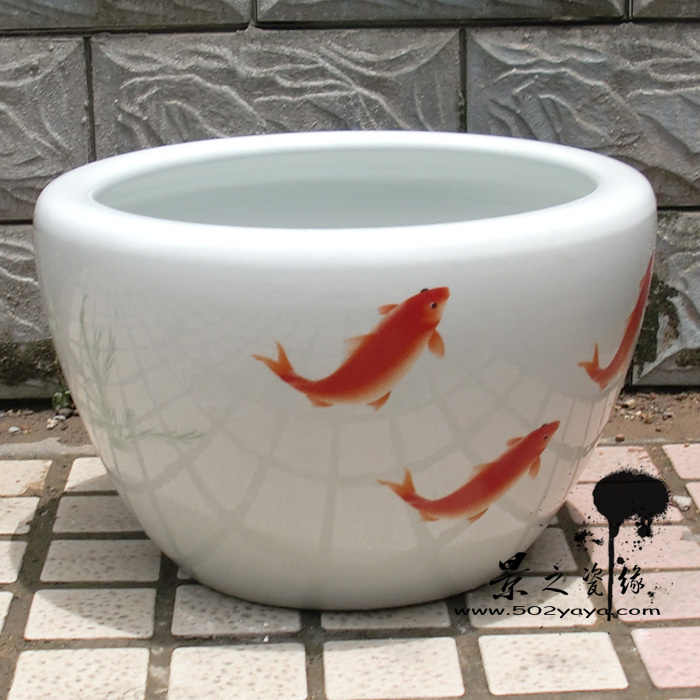 養金魚書 新人首單立減十元 21年11月 淘寶海外