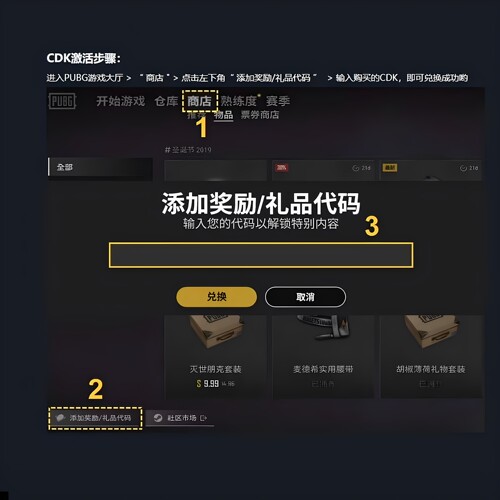 PUBGG币绝地求生G币G-COIN官方游戏币充值吃鸡g币兑换码CDK秒发货 - 图0