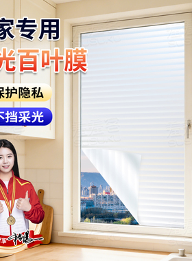 防窥浴室高级感静电无胶玻璃贴纸
