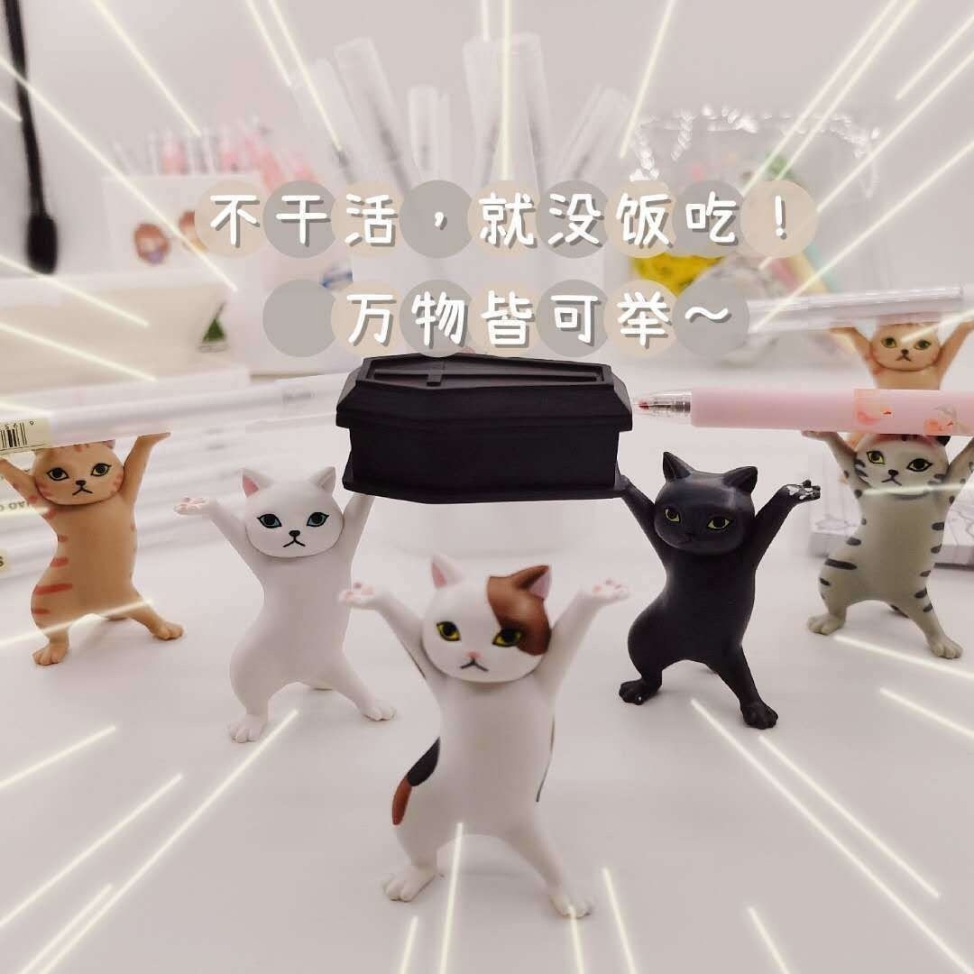 网红罗小猫猫子的最后一条视频_哔哩哔哩_bilibili