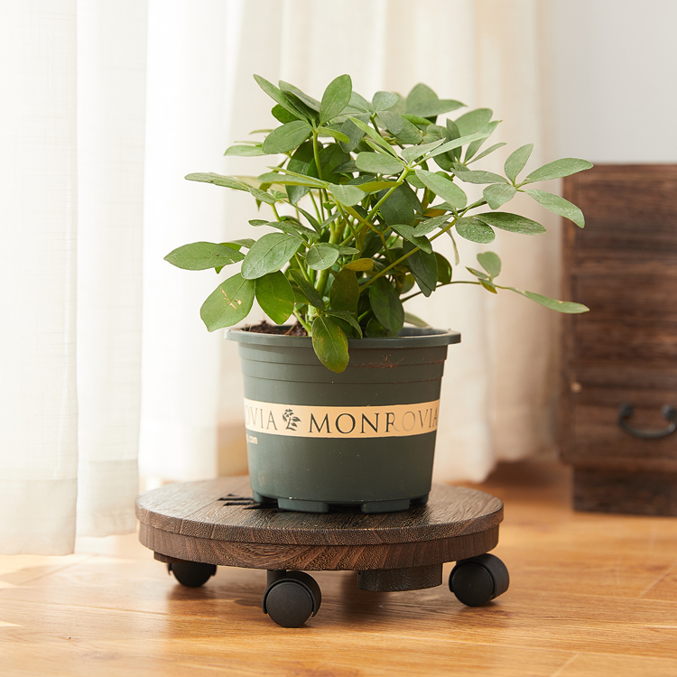 实木花盆底座托盘木质花架带移动万向轮滚轮接水盘滑轮圆形,淘宝优惠券,粉丝福利购,淘宝优惠卷