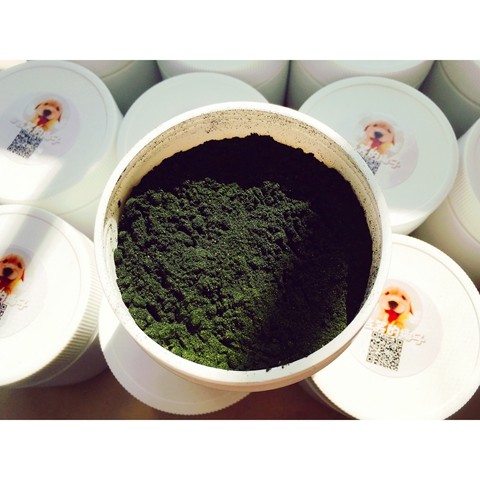 会笑的椰子如小意狗狗猫狗莓藻粉海藻粉 美毛,淘宝优惠券,粉丝福利购,淘宝优惠卷