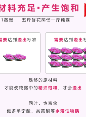 不是花水玫瑰纯露天然饱和补水
