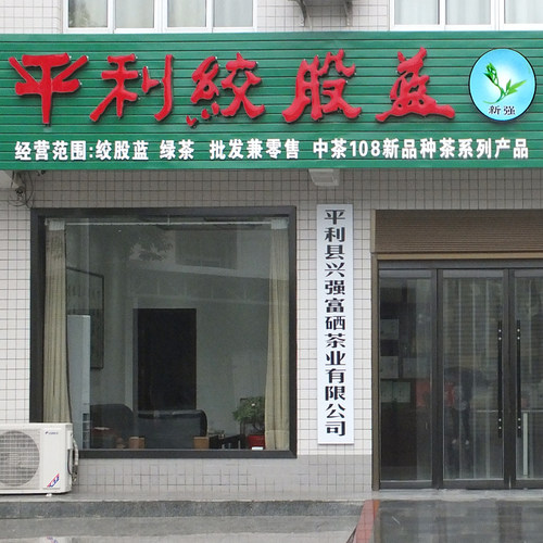 平利野生七叶苦绞股蓝龙须茶五叶甘兴强正品新茶胶股蓝250g袋新强 - 图1
