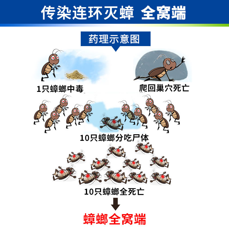 达豪蟑螂药家用一窝端大小强力灭厨房饭店原灭蟑清10包邮室内胶饵 - 图1