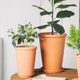 Red pottery slim tall round basin with thin edges on sale with free shipping