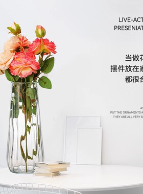 北欧风玻璃花瓶玻璃轻奢感透明