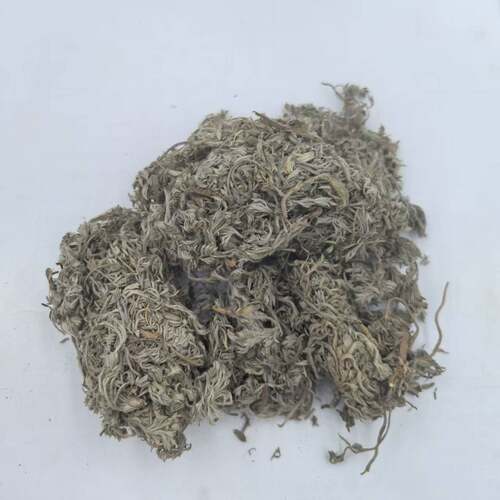 绵茵陈 拍2件包邮 白蒿 茵陈蒿 草茵陈因陈 茵陈草 中药材 500g克 - 图0