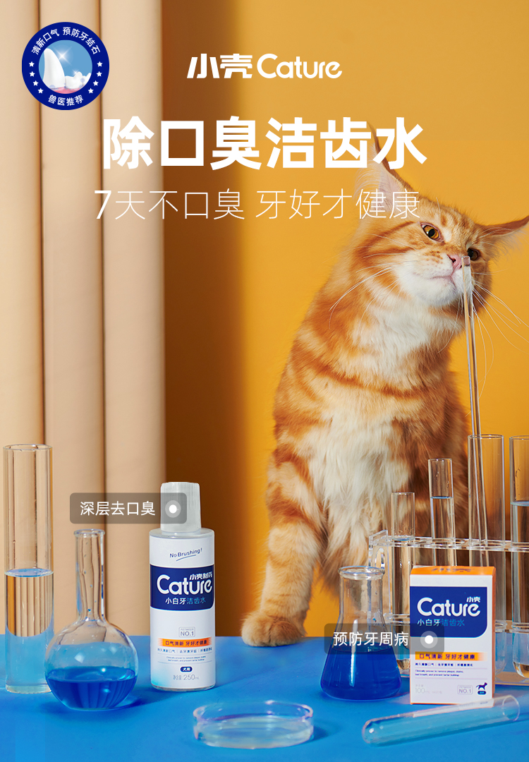 【柿子菌】小壳洁齿水猫咪方便可食用清口臭去牙结石宠物口腔清洁-图0