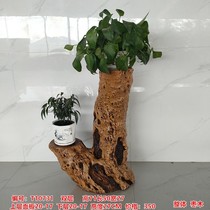 Root Carved Flower Shelf Wood Root Base Living Room Swing Piece Natural Solid Wood Tree Root Bonsai Rack Balcony Root Art Log Specimen Holder