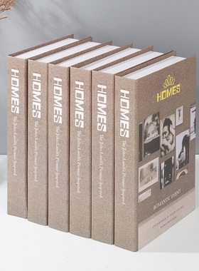 现代简约电视柜饰品摆设仿真书