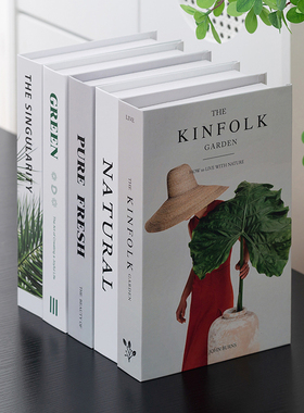 假书书柜装饰品摆件北欧简约