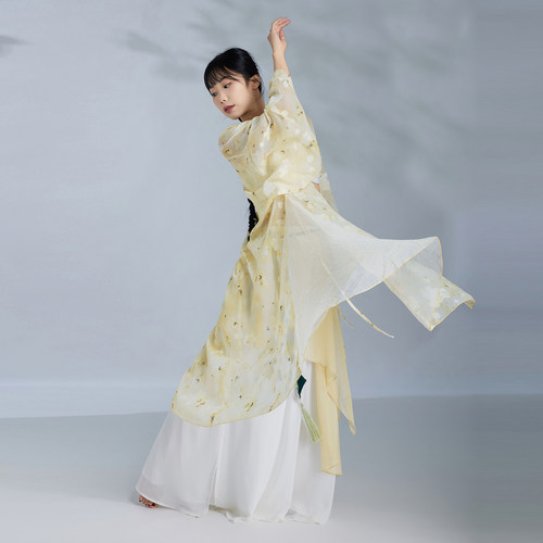 华丽独秀古典舞纱衣外披套装仙气飘飘古风爵士舞蹈服练功服表演服 - 图3