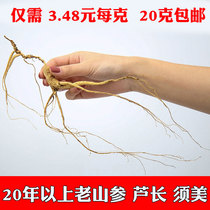 Wild Mountain ginseng Changbai ginseng NE Lin Lower Ginseng Soak wine for 20 years old Mountain Participation micro-residual 3 RMB48  per gram super affordable