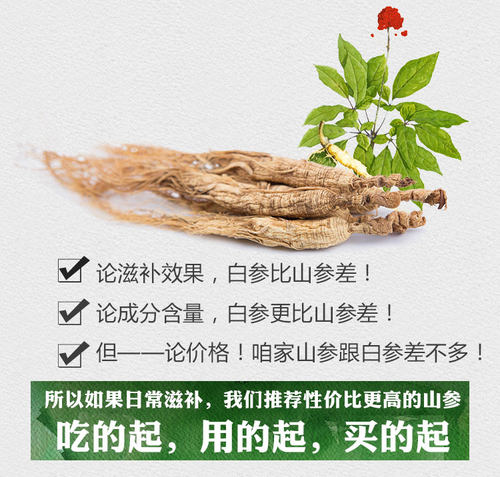 东北12年长白山林下参微残山参泡酒人参整支超高性价比可切片打粉 - 图1