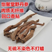 Ultra-special class Sichuan Zhongjiang Salvia root wild 500 gr free of sulphur Purple Sage Root tea Grinding Powder with Grinding Powder