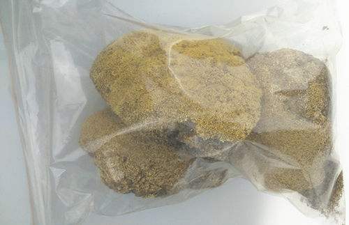 灵芝干货西藏雪灵芝雪灵芝整朵500克40元包邮 - 图2