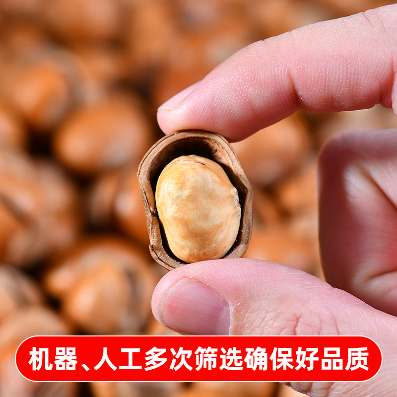 东北特产铁岭新货无添加原味开口薄皮大榛子新鲜孕妇零食炒货坚果 - 图0