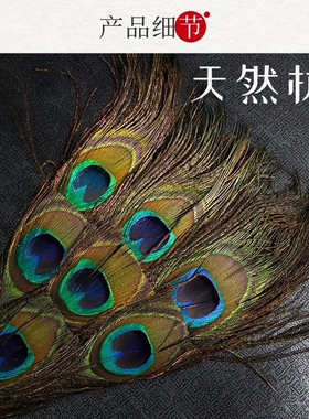 藏传用品文巴扇吉祥草孔雀羽毛扇子三眼五眼21眼天然孔雀扇贲巴壶