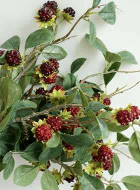 创意简约仿真植物树莓花瓶摆件造景8支一把/长36cm