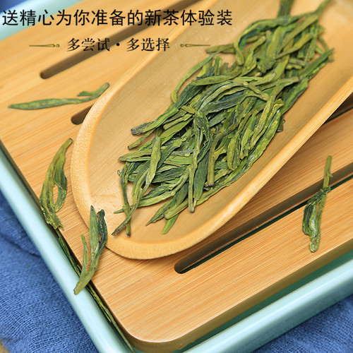 千岛湖龙井茶2026新茶杭州高山绿茶明前老茶树龙井43浓香千岛玉叶 - 图2