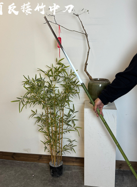 龙泉一体高锰钢可反接竹中剑竹中刀唐横刀手杖唐剑户外防身未开刃