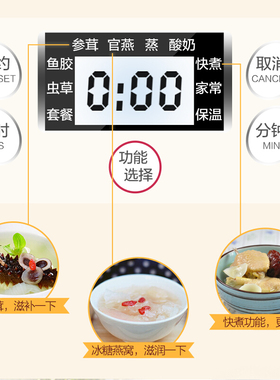 天际不锈钢白瓷电炖锅家用燕窝锅