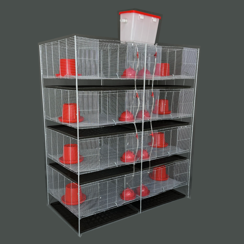 新品鹌鹑鹧鸪鹦鹉芦丁鸡育雏笼热镀锌高防锈豚鼠养殖笼保温网箱笼,淘宝优惠券,粉丝福利购,淘宝优惠卷
