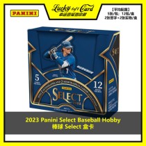 2023 Panini Select Baseball Hobby Baseball Select star card box card