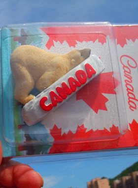加拿大当地购买冰箱贴 CANADA 北极熊 多款