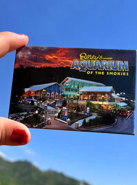 美国当地购买冰箱贴 ripley's aquarium of the smokies 多款