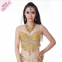 Belly dance blouses bra big code Costume Performance Suit New Special price Dance suit Six flower styling bra