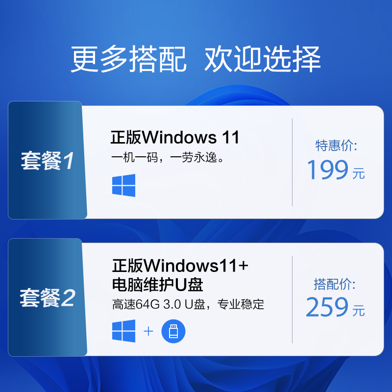 正版WIN11系统（装在主机发出）升级套餐专用链接【单买不发货】 - 图0