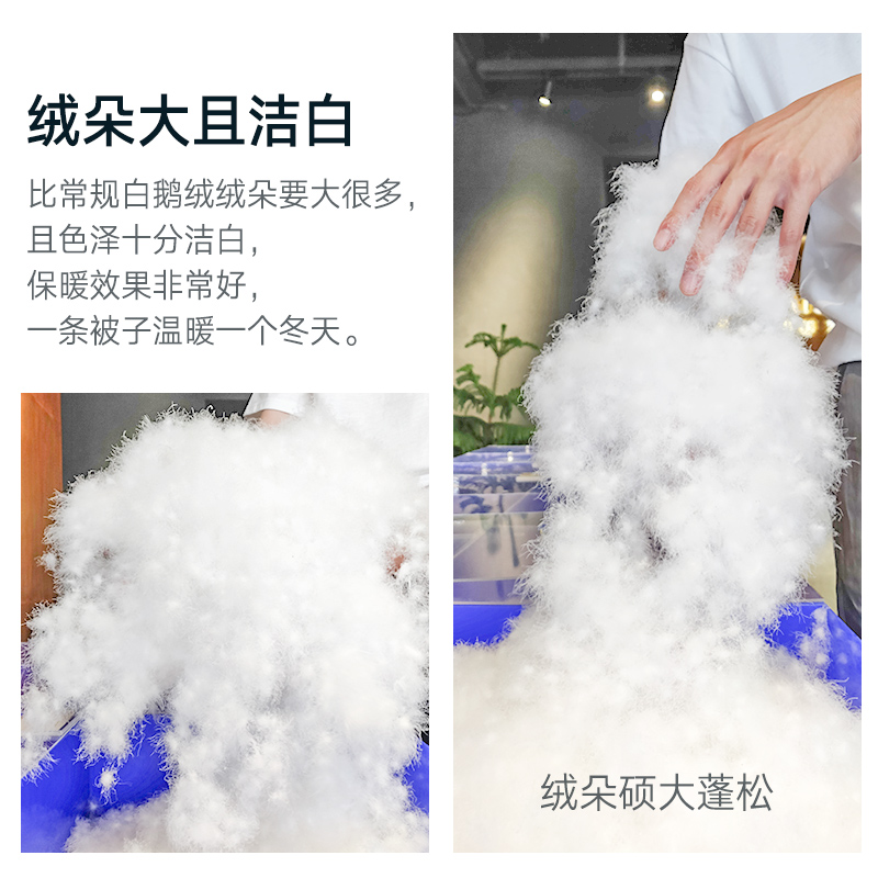 百思寒抗菌95羽绒被子母被秋冬被雪鹅绒白鹅绒保暖单双人被芯被子