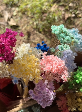 diy进口巴西手工滴胶材料干花