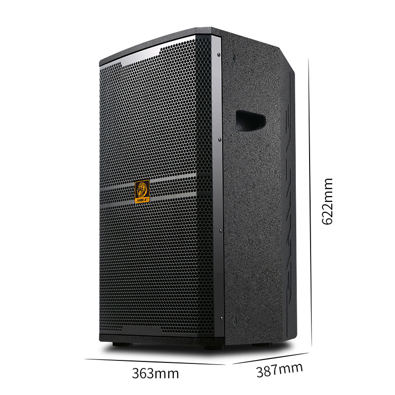 狮乐bm-12十二寸专业舞台演出音箱 狮乐KTV/卡拉OK音箱