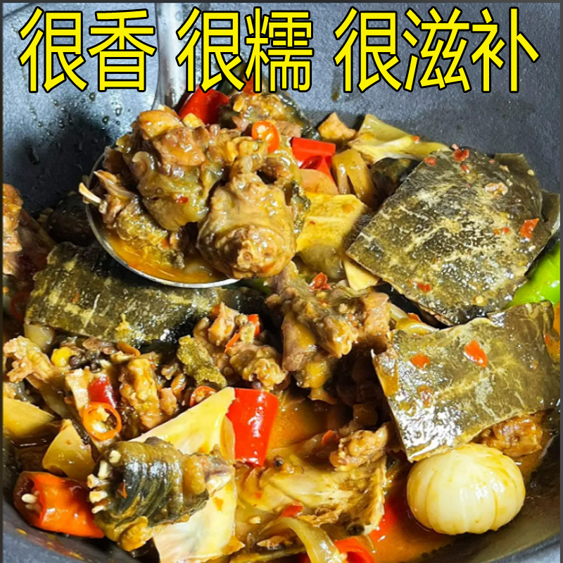 【外塘青黄色鲜活大甲鱼活体】中华鳖团鱼王八食用公母甲鱼现杀好,淘宝优惠券,粉丝福利购,淘宝优惠卷
