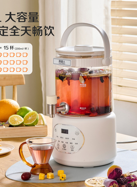 南极人养生壶全自动家用多功能3L