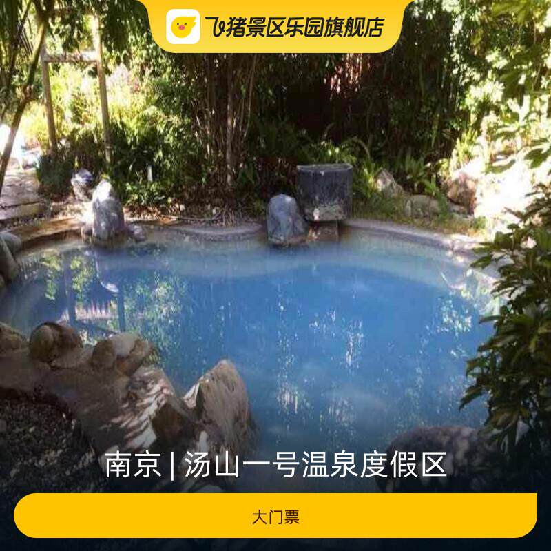 [汤山一号温泉度假区-温泉票]