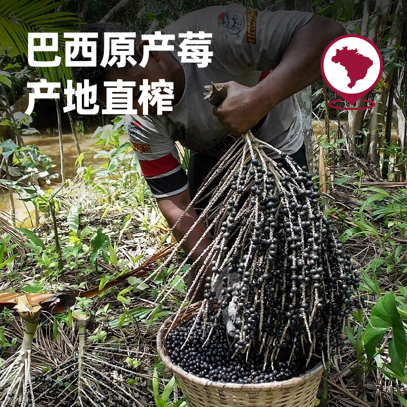 【超模同款】王饱饱巴西莓粉花青素果蔬纤维粉冲饮3.5g*30条代餐