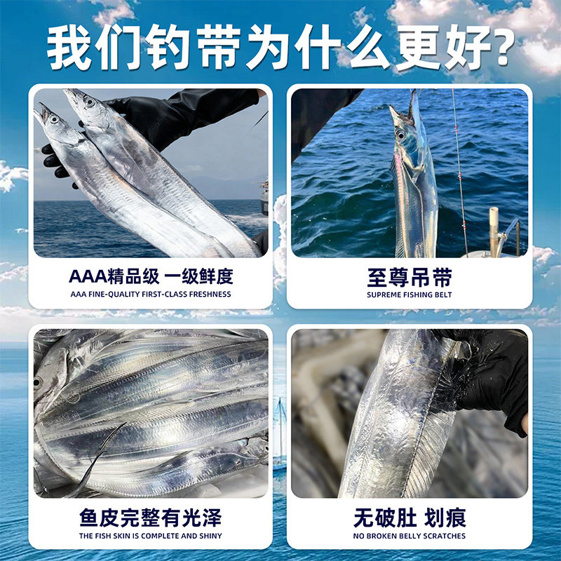 云储生活带鱼特级整条礼盒款新鲜冷冻鲜活东海大钓带鱼海鲜整箱,淘宝优惠券,粉丝福利购,淘宝优惠卷